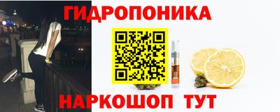 PSILOCYBIN Кулебаки