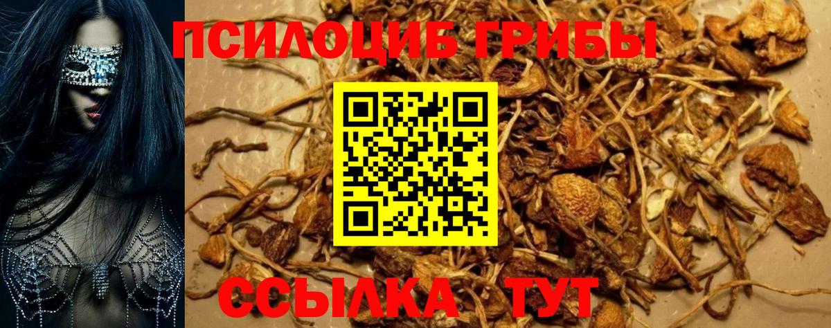 Псилоцибиновые грибы MAGIC MUSHROOMS  Вход с VPN  Саянск 