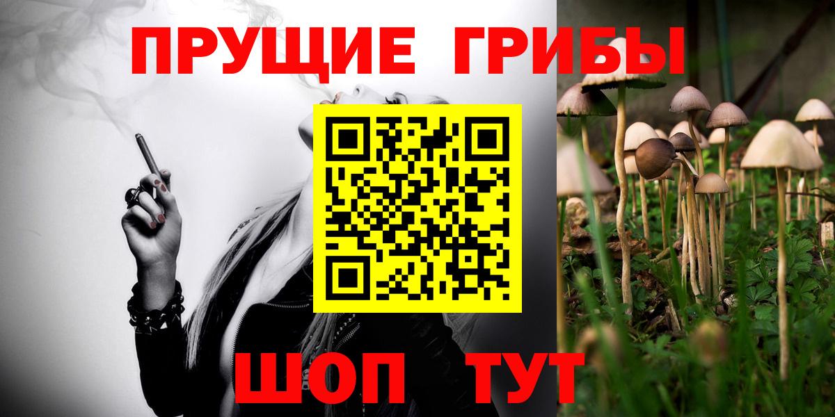 Псилоцибиновые грибы GOLDEN TEACHER Саянск